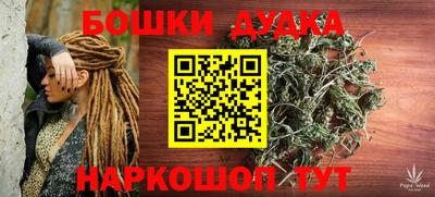 PSILOCYBIN Канаш