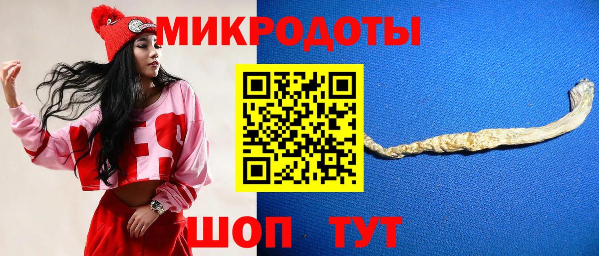Кулебаки  Галлюциногенные грибы прущие грибы  Вход с VPN 