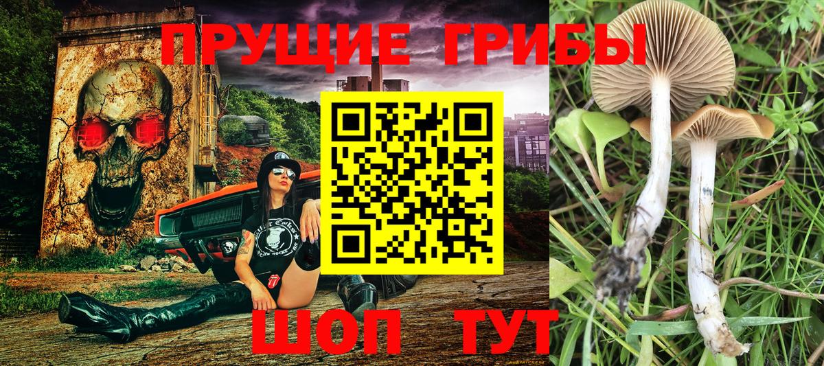 Псилоцибиновые грибы GOLDEN TEACHER Кулебаки